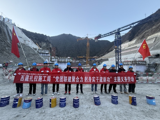 “黨團聯建聚合力 躬身實干建新功”主題義務勞動.jpg